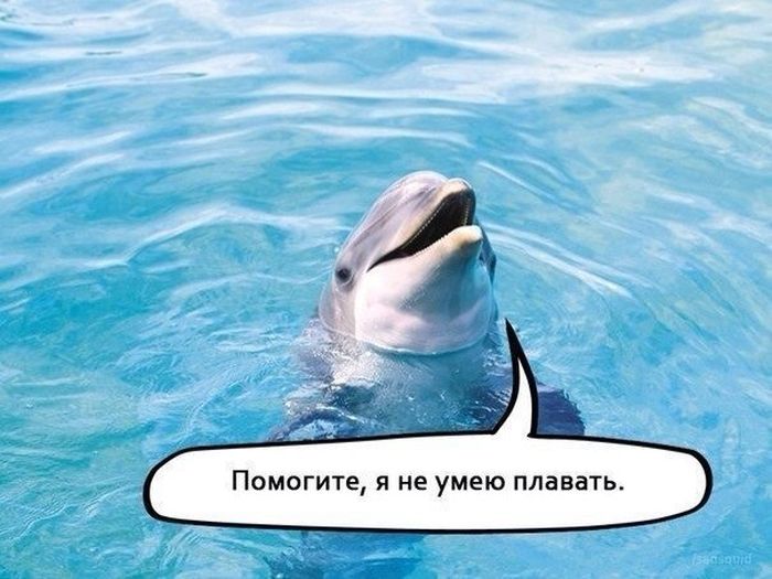 Прикольные картинки (72 фото)