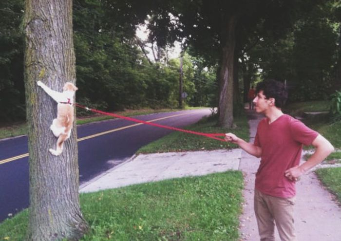 Прикольные картинки (72 фото)