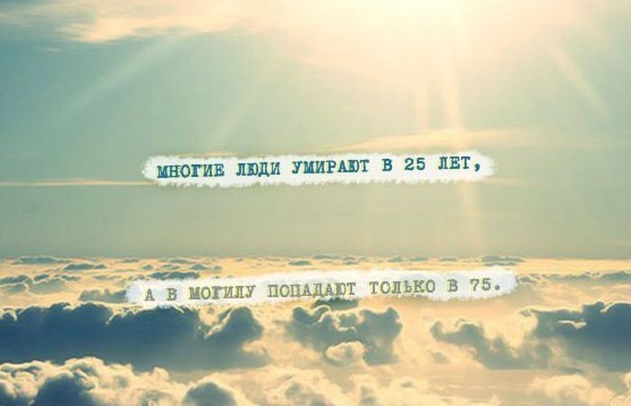 Прикольные картинки (72 фото)