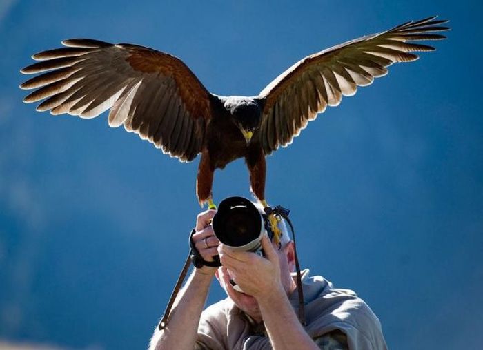 Прикольные картинки (72 фото)