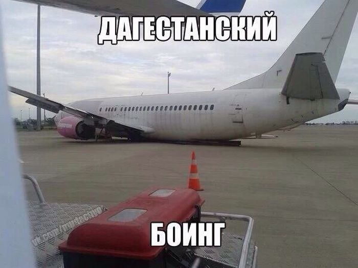 Прикольные картинки (72 фото)