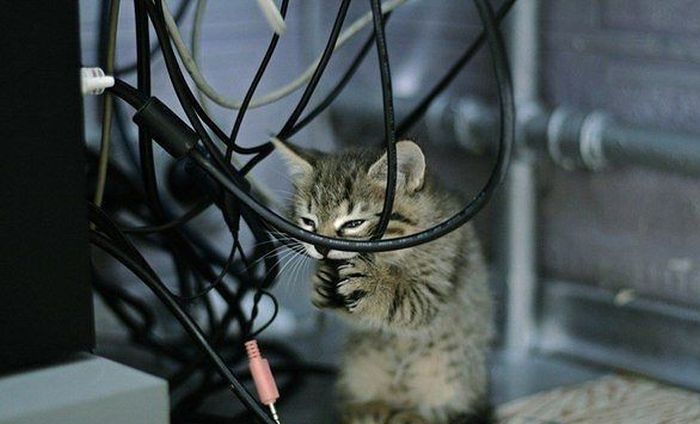 Прикольные картинки (72 фото)