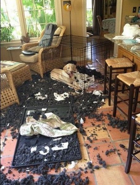 Прикольные картинки (72 фото)