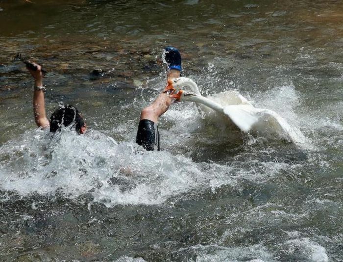 Прикольные картинки (72 фото)