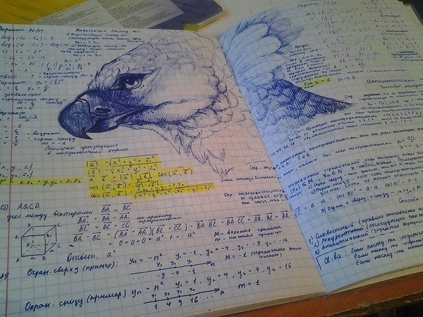 Прикольные картинки (72 фото)