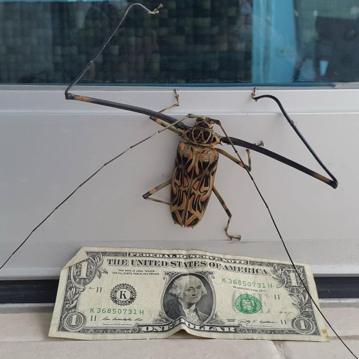 Прикольные картинки (72 фото)