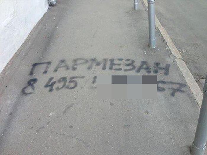 Забавные картинки