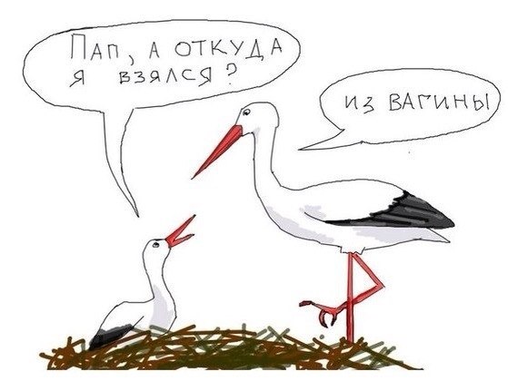 Забавные картинки