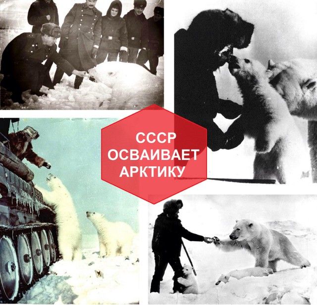 Забавные картинки