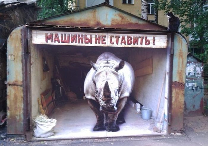 Забавные картинки