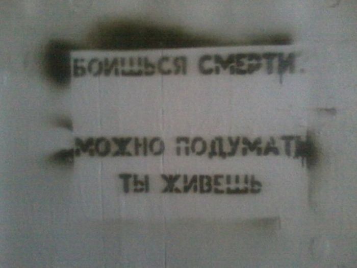 Забавные картинки