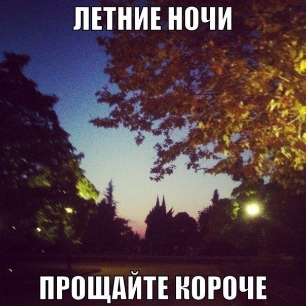 Прикольные картинки (91 фото)