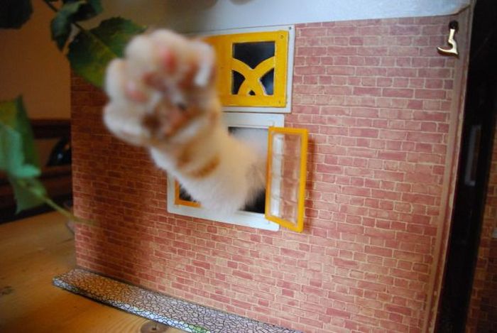 Прикольные картинки (91 фото)