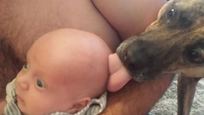 Прикольные картинки (91 фото)