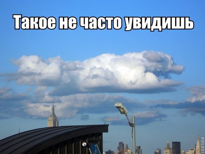 Прикольные картинки (91 фото)