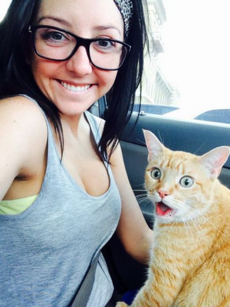 Прикольные картинки (91 фото)