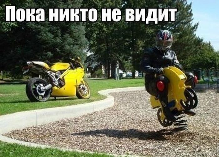 Прикольные картинки (91 фото)