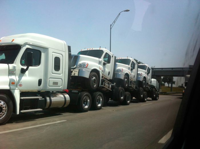 Прикольные картинки (91 фото)