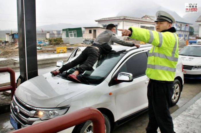 Прикольные картинки (91 фото)