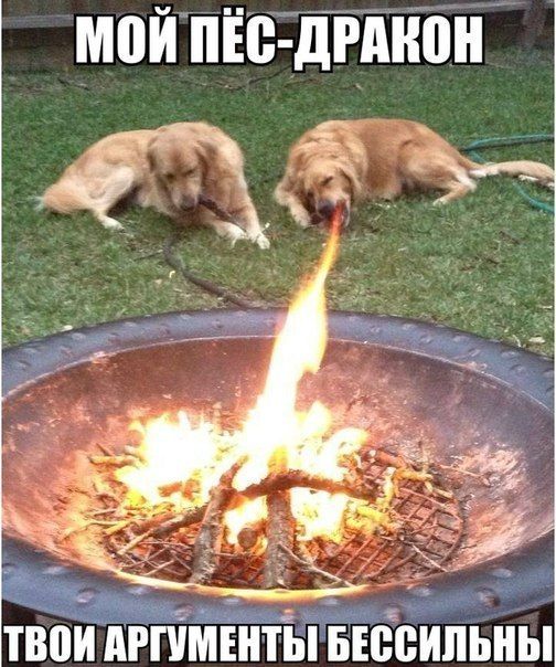 Прикольные картинки (91 фото)