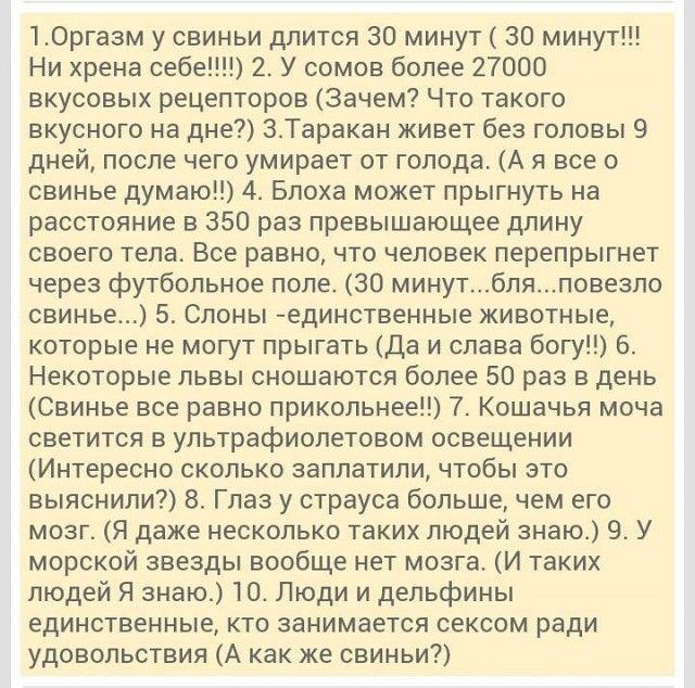 Прикольные картинки (91 фото)