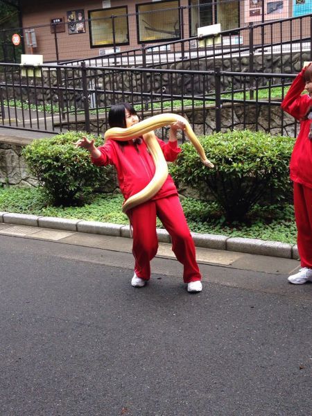 Прикольные картинки (91 фото)