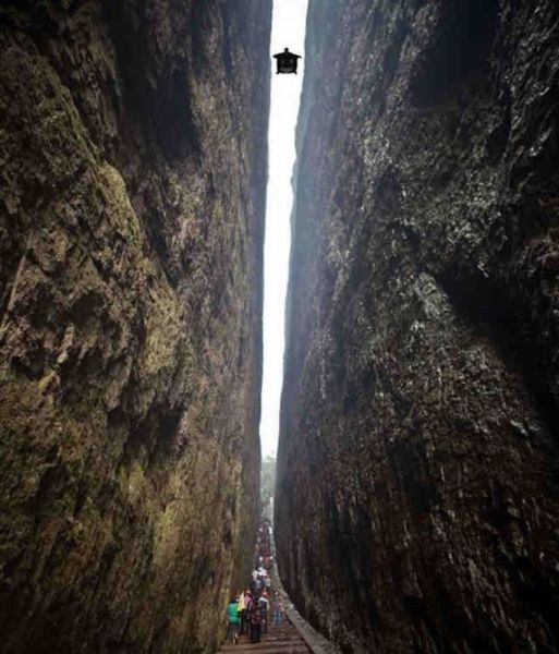 Прикольные картинки (91 фото)