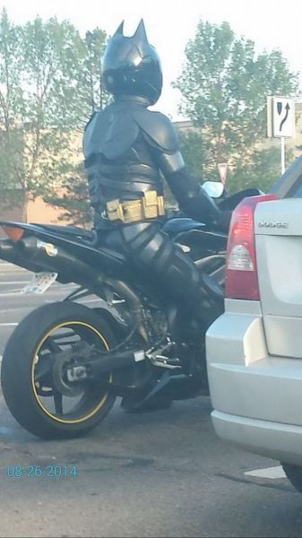 Прикольные картинки (91 фото)