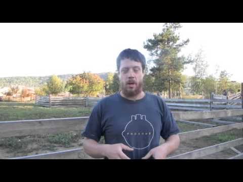 Рассказ Веселого Молочника