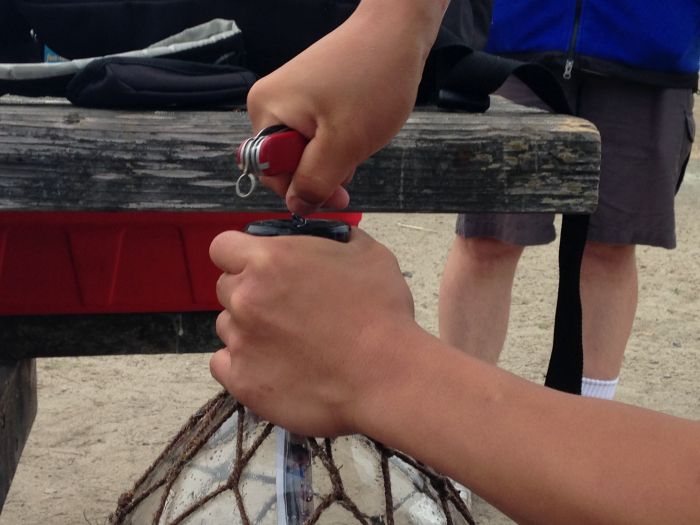 Необычное послание в бутылке