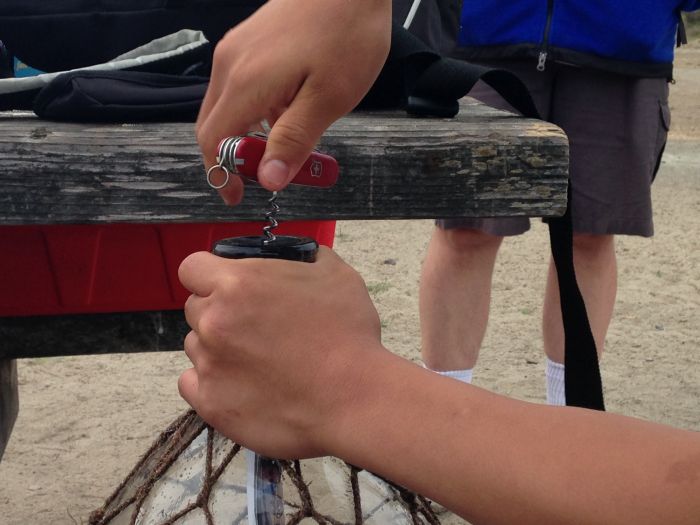 Необычное послание в бутылке