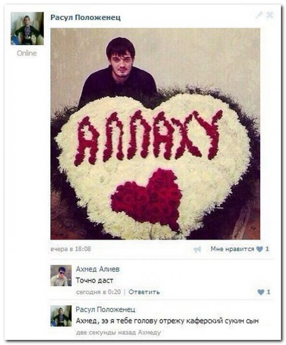 Забавные картинки