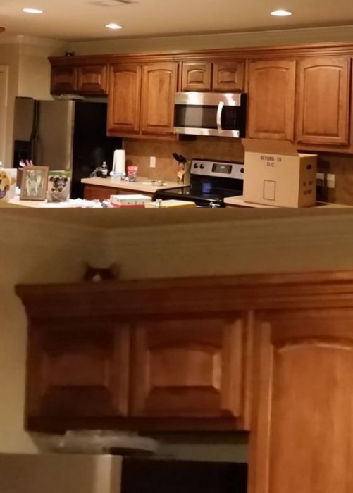 Забавные картинки