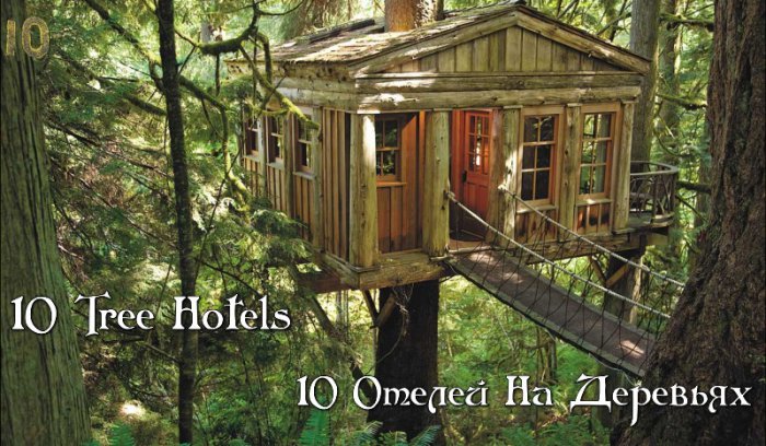 10 Отелей На Деревьях. Куда поехать в сентябре