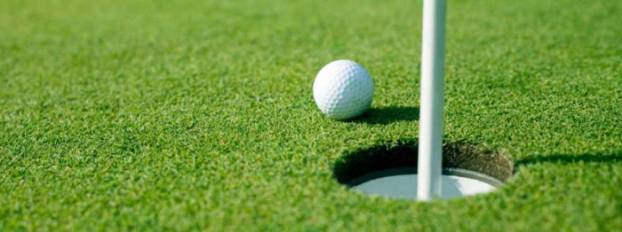 Профессиональный гольф