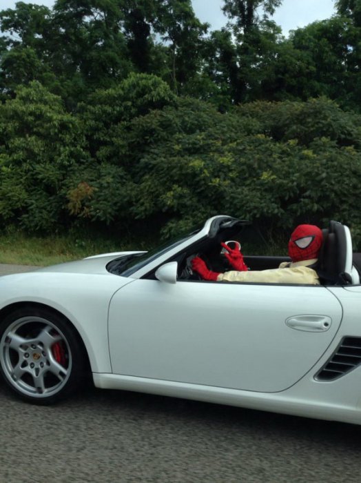 Автоприколы (16 фото)