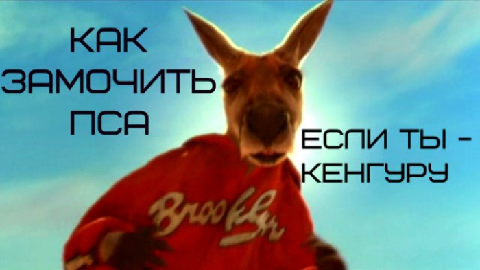 Как замочить пса, если ты КЕНГУРУ???