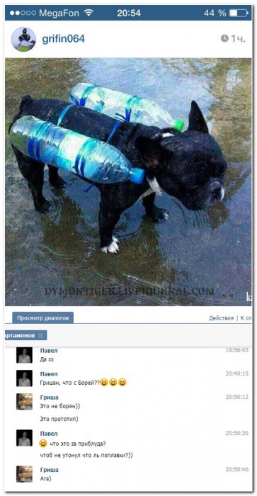 Смешные комментарии из социальныхсетей (29 фото)