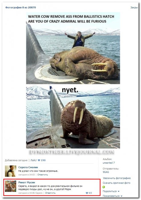 Смешные комментарии из социальныхсетей (29 фото)
