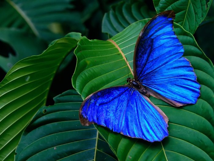 Обои на рабочий стол / HQ Wallpapers for a desktop (Part 303)