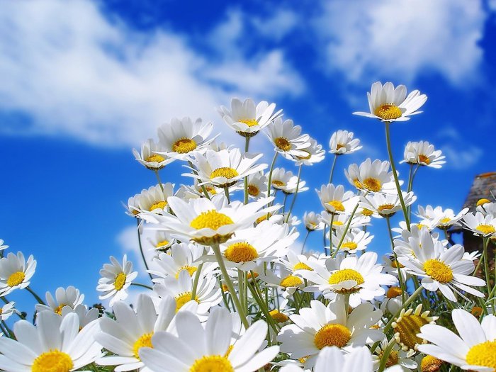 Обои на рабочий стол / HQ Wallpapers for a desktop (Part 303)