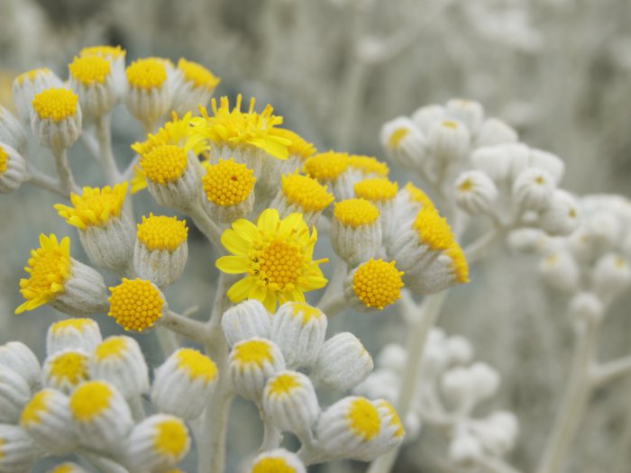 Обои на рабочий стол / HQ Wallpapers for a desktop (Part 303)