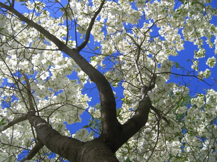 Обои на рабочий стол / HQ Wallpapers for a desktop (Part 303)