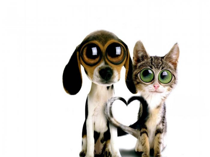 Обои на рабочий стол / HQ Wallpapers for a desktop (Part 303)