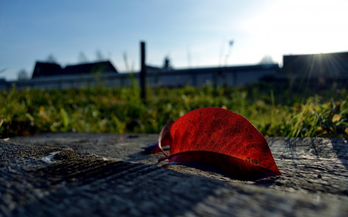 Обои на рабочий стол / HQ Wallpapers for a desktop (Part 303)