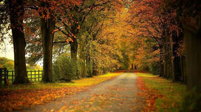 Обои на рабочий стол / HQ Wallpapers for a desktop (Part 383)