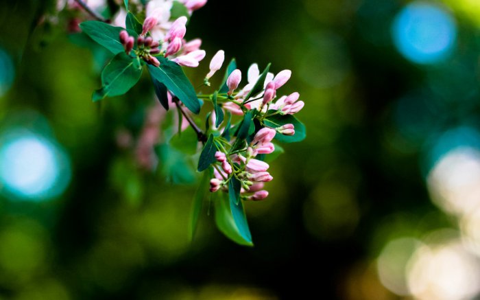 Обои на рабочий стол / Best HD Wallpapers Pack 1333