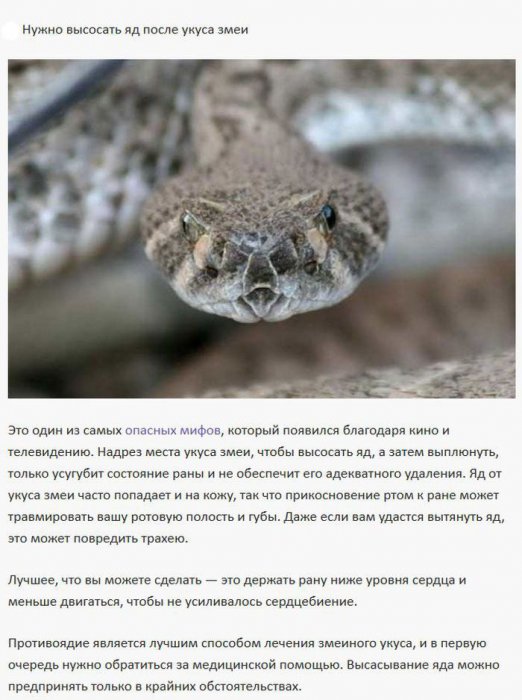 Инструкции по выживанию