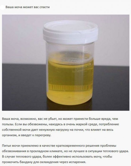 Инструкции по выживанию