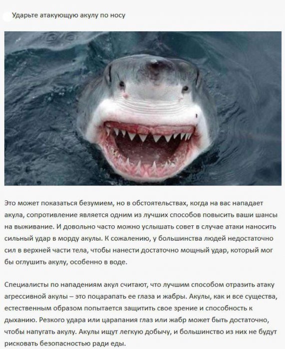 Инструкции по выживанию